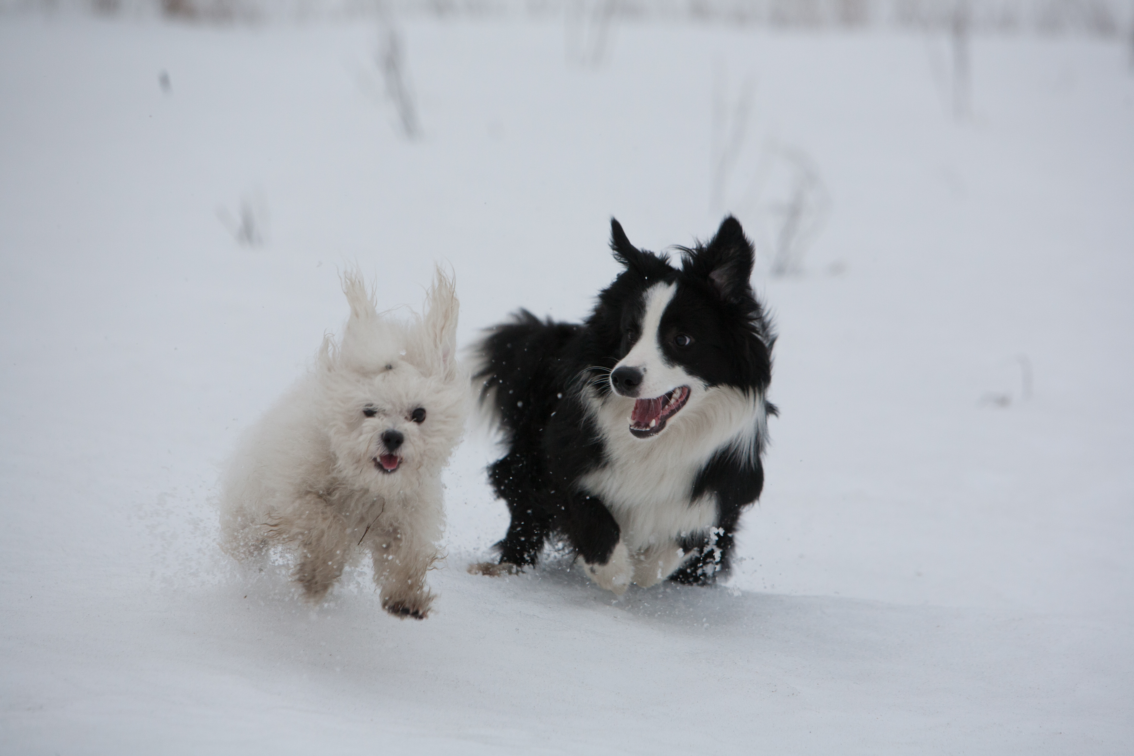 Luka and Nuuti