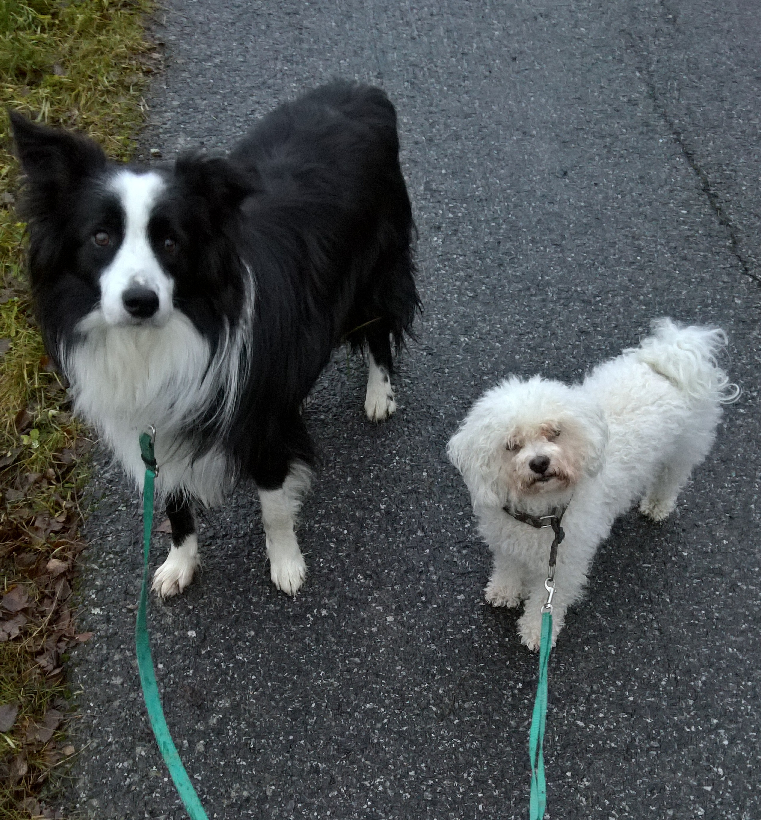 Luka and Nuuti