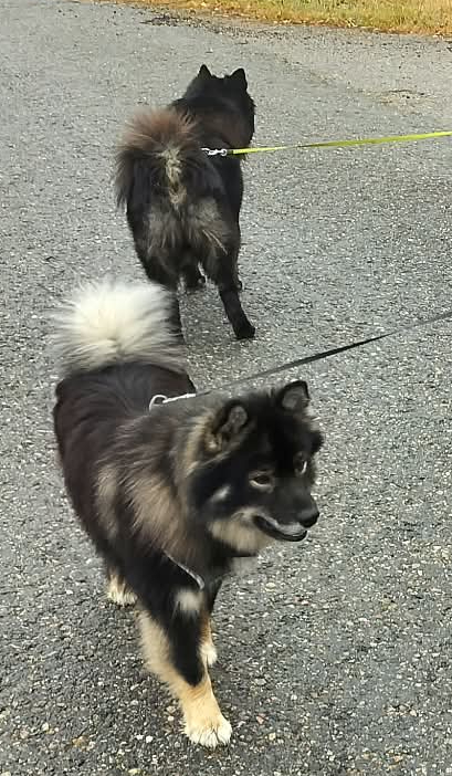 Piki and Riemu